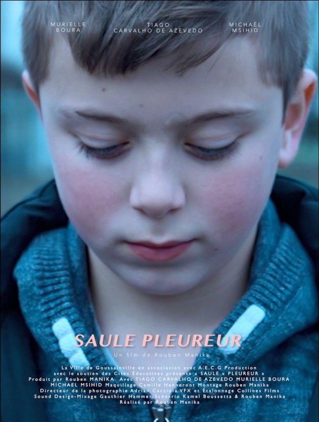Affiche du film Saule pleureur